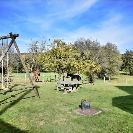 In Vielsalm 펜션 *